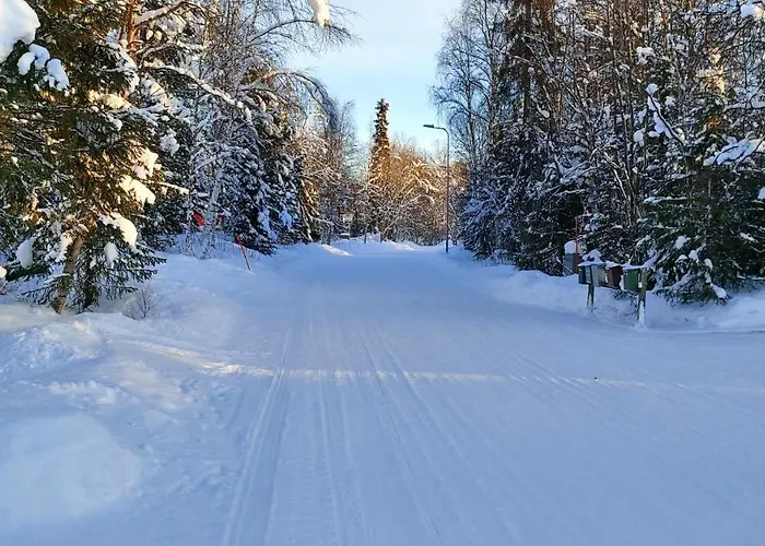 Semesterbostad Holiday Home Ivalo Ivalo